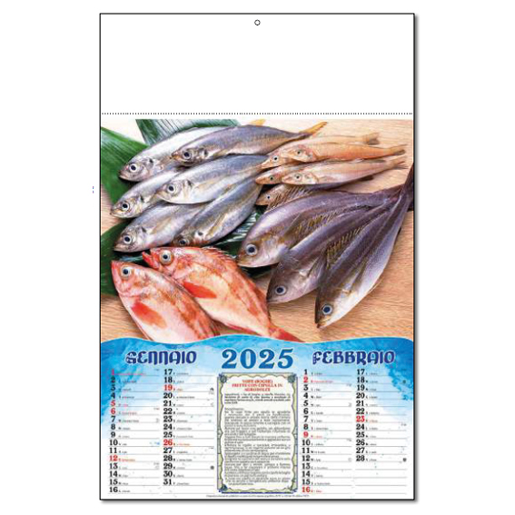 Doo5 - Pescheria
